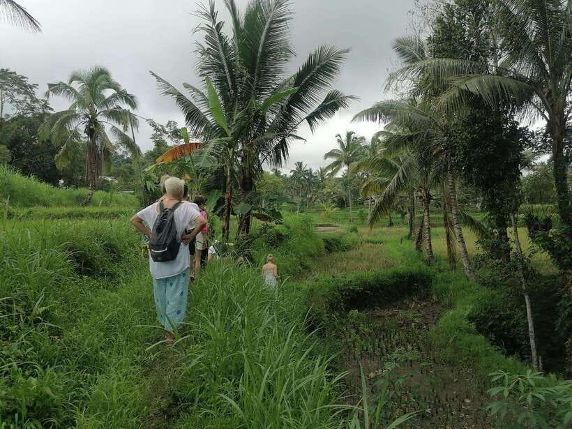 Lombok: Waterfall Benang Kelambu & Rice field Trip - Exploring the Itinerary in Detail