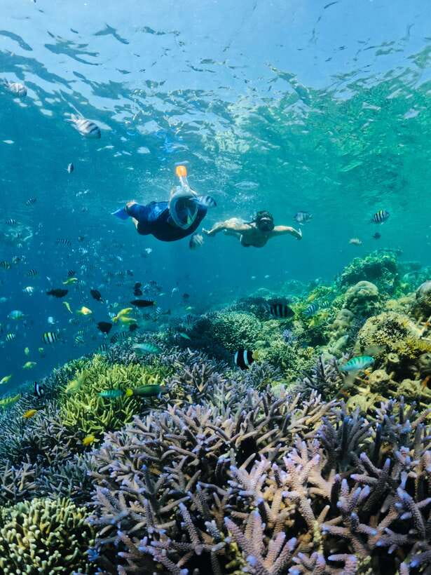 Lombok:Snorkeling trip to Gili Nanggu,Gili Sudak, Gili Kedis - Who Will Love This Tour?