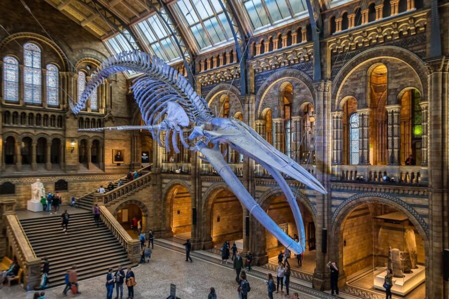 London: Guided Tour of the Natural History Museum - Is This Tour Worth the Price?