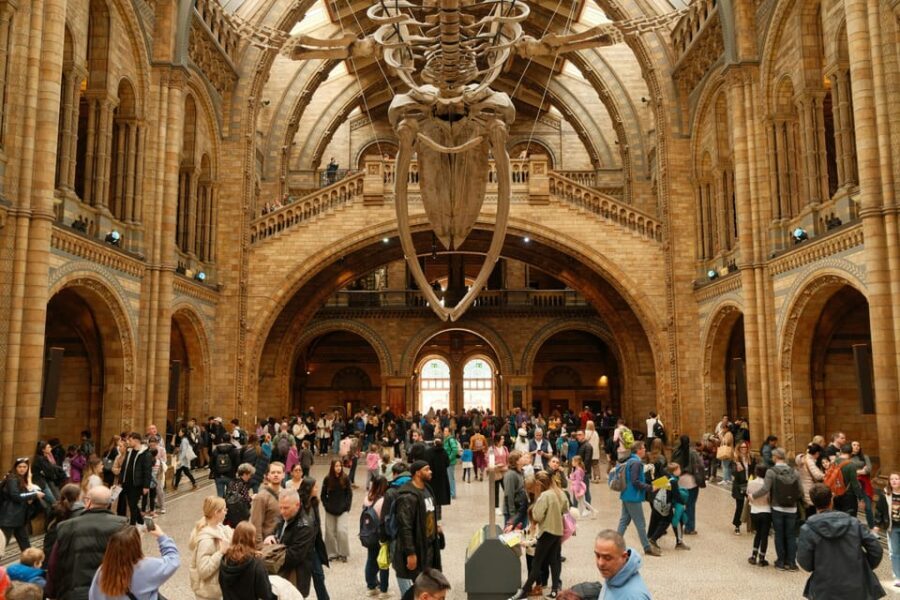 London: Natural History Museum Guided Tour - The Itinerary: What to Expect