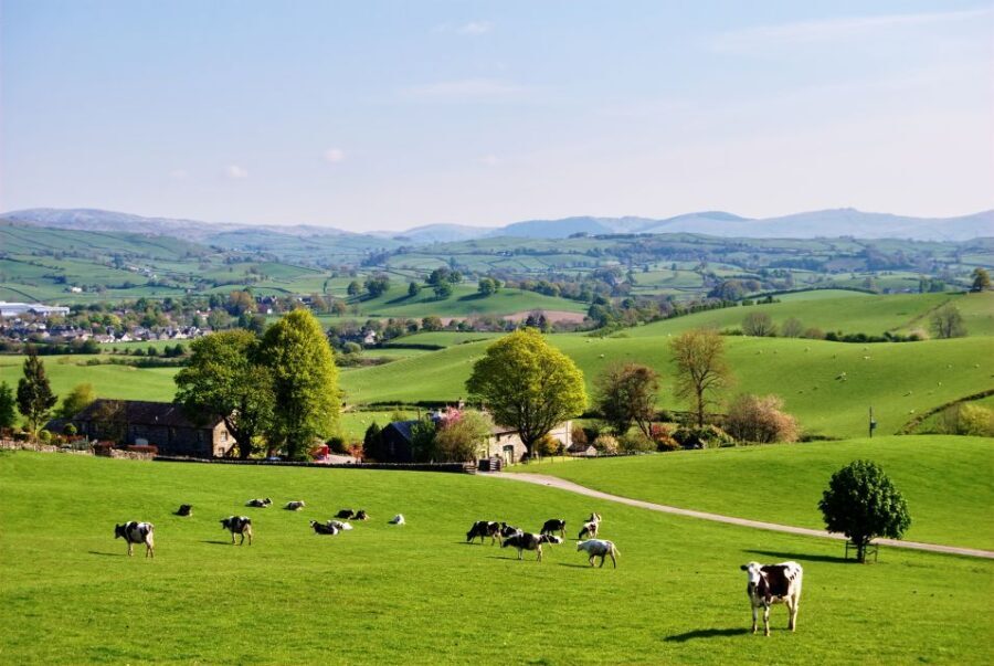 London: Small Group Canterbury, Dover & Kent Villages Tour - Why Choose This Tour?