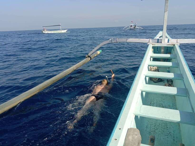 Lovina/BALI : SPECIAL Dolphin Watching,Swimming,Snorkeling - The Experience in Detail