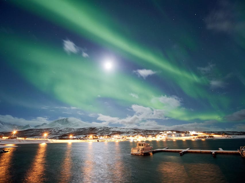Lyngenalps: Northern Lights Snowmobile Safari - Who Should Consider This Tour?