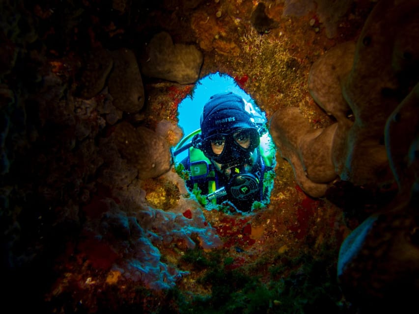 Maddalena Park : Afternoon Dive with Aperitif on Board - An In-depth Look at the Experience