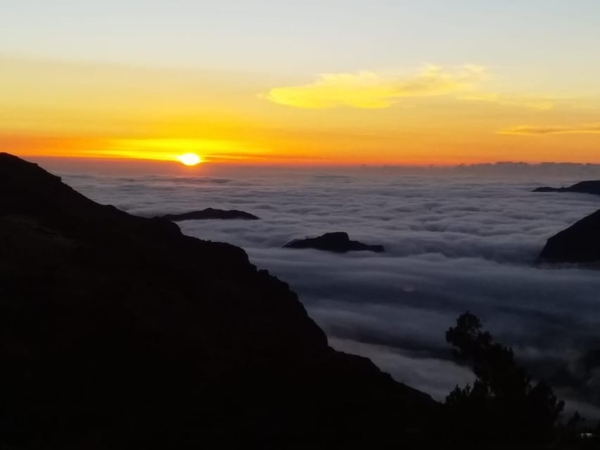 Madeira: Birdwatching - The Endemics - Why Choose This Tour?