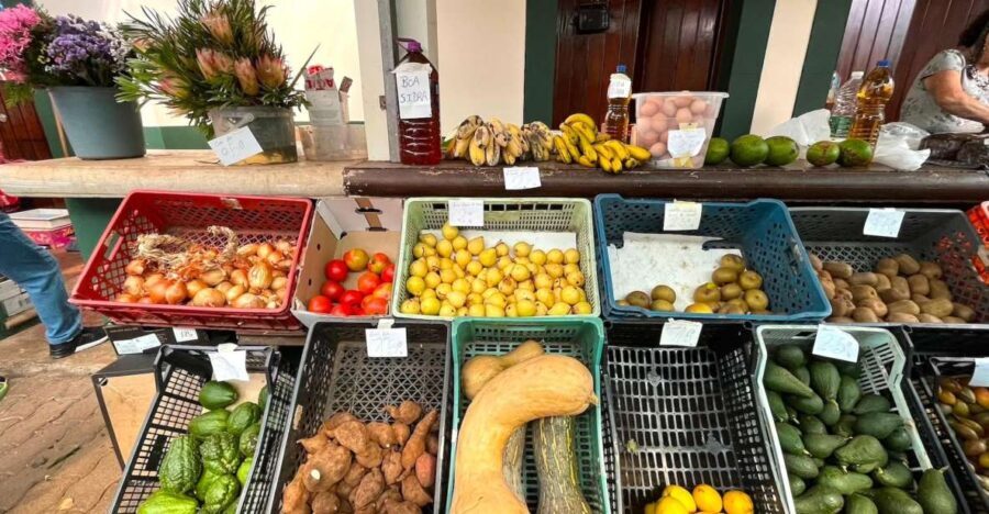 Madeira: East Coast, Sao Lourenço & Local farmers' market - Analyzing the Value for Money