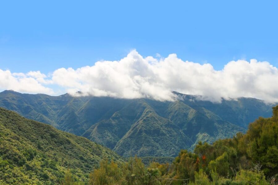 Madeira: Fanal and Seixal Beach Guided Tour - Authenticity and Practical Tips