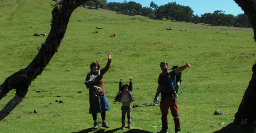 Madeira: Fanal Forest Guided Hiking Tour - An In-Depth Look at the Fanal Forest Guided Hiking Tour