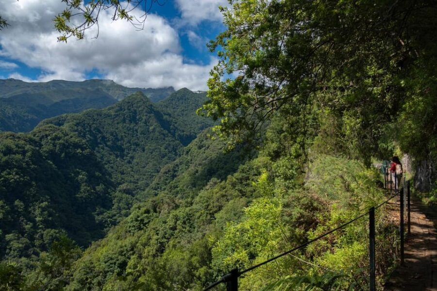 MADEIRA ISLAND WALK - HIDDEN CORNERS KINGS LEVADA - What to Expect