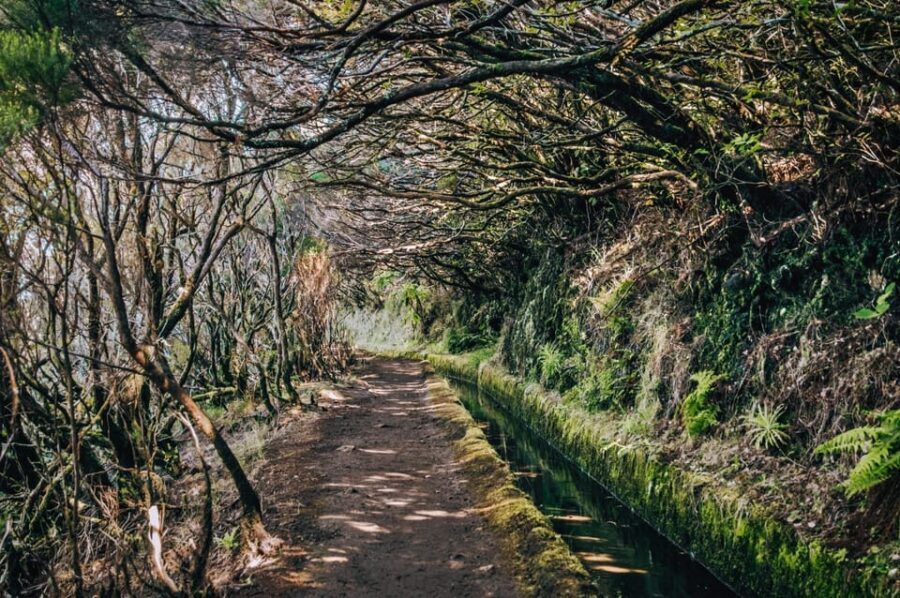 MADEIRA ISLAND WALK - LAKES OF MADEIRA , LEVADA DO ALECRIM - The Itinerary: What You’ll Experience