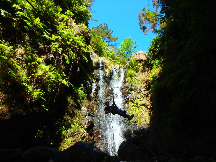 Madeira: Level-1 Canyoning Adventure - Who Will Appreciate This Experience?