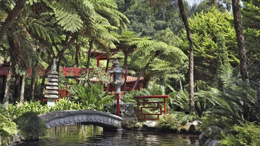 Madeira: Monte Tropical Gardens + Old Town Tuk Tuk by MadTuk - A detailed look at the experience