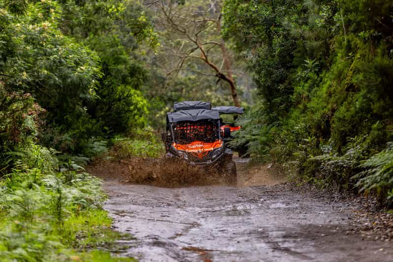 Madeira: OFF-ROAD BUGGY ADVENTURE TO FUNDURAS - What to Expect on the Day