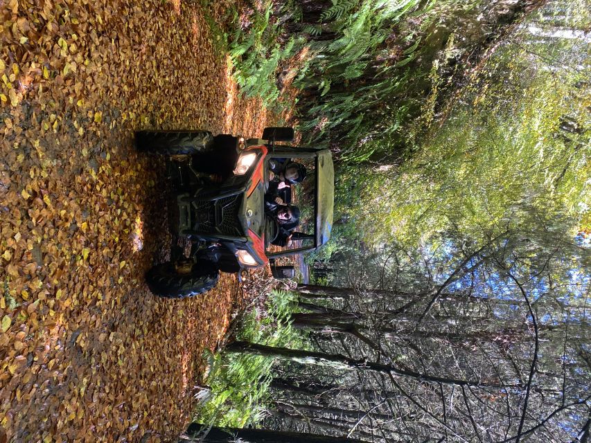 Madeira: Off-Road Buggy Driving Experience - What to Expect from the Tour