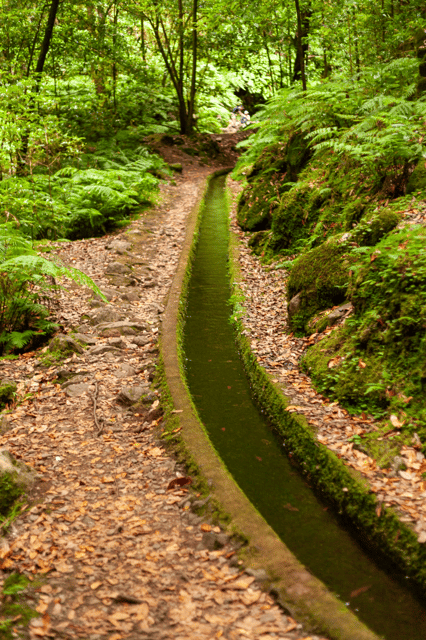 Madeira: PR 18 - Levada do Rei Hike Transfer - Transportation and Practicalities