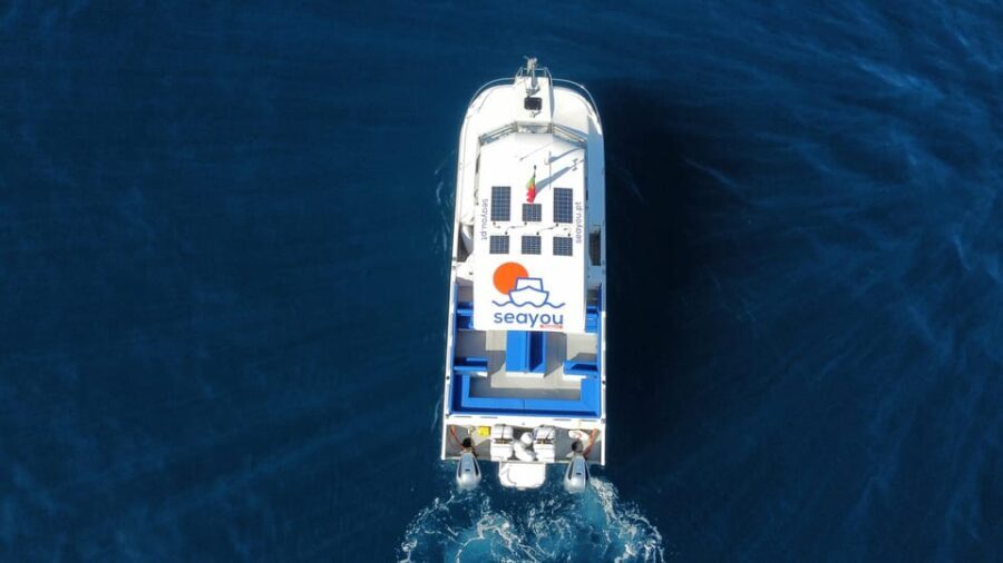 Madeira: Private Cruise to Calheta, Caniçal - Analyzing the Value