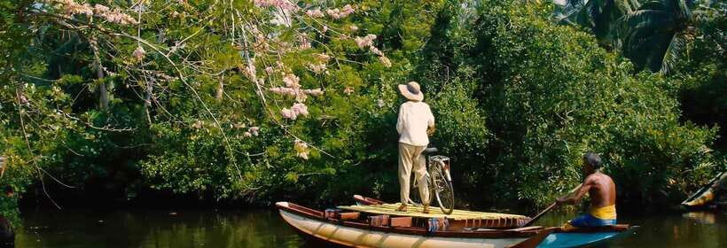Madu River Boat Safari: A Journey Through Nature's Paradise - Who Is This Tour Best For?