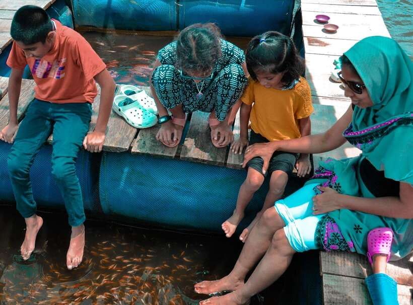 Madu River Boat Safari - Detailed Itinerary Breakdown