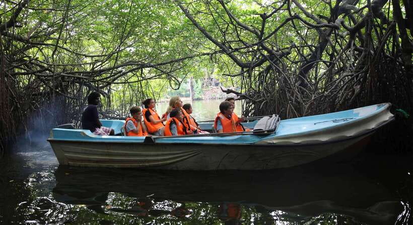 Madu River Boat Tour and Cinnamon Garden visit - Who Is This Tour Best For?