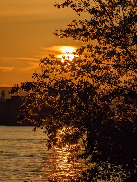Mainz: guided evening tour of the Rhine embankment/old town in German and English - Detailed Breakdown of the Itinerary