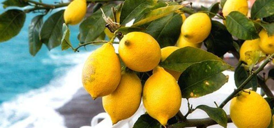 Maiori: Amalfi Coast Path of Lemons Day Trip With Tastings - Itinerary Highlights