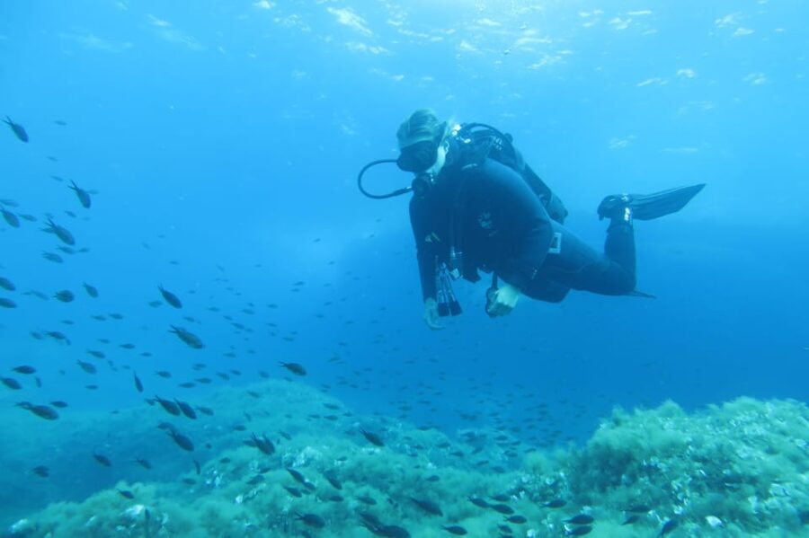 Malta: 2 Scuba Fun Dives for Certified divers - Who Will Love This Experience?