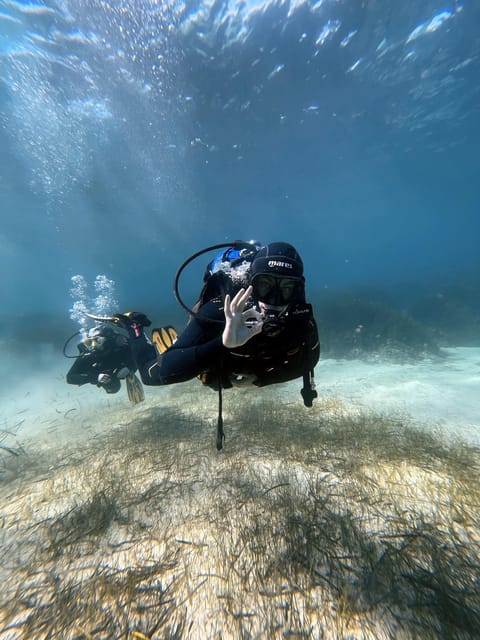 Malte : Baptême de plongée sous-marine en Français - What Makes This Experience Stand Out