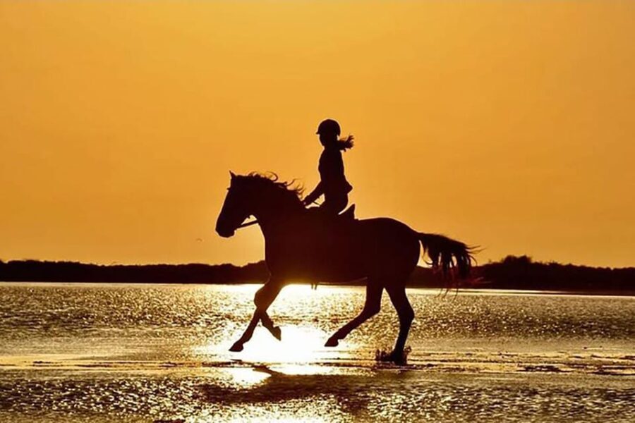 Manavgat Side: Horse Riding on the Beach and in the Forest - An Honest Look at the Experience