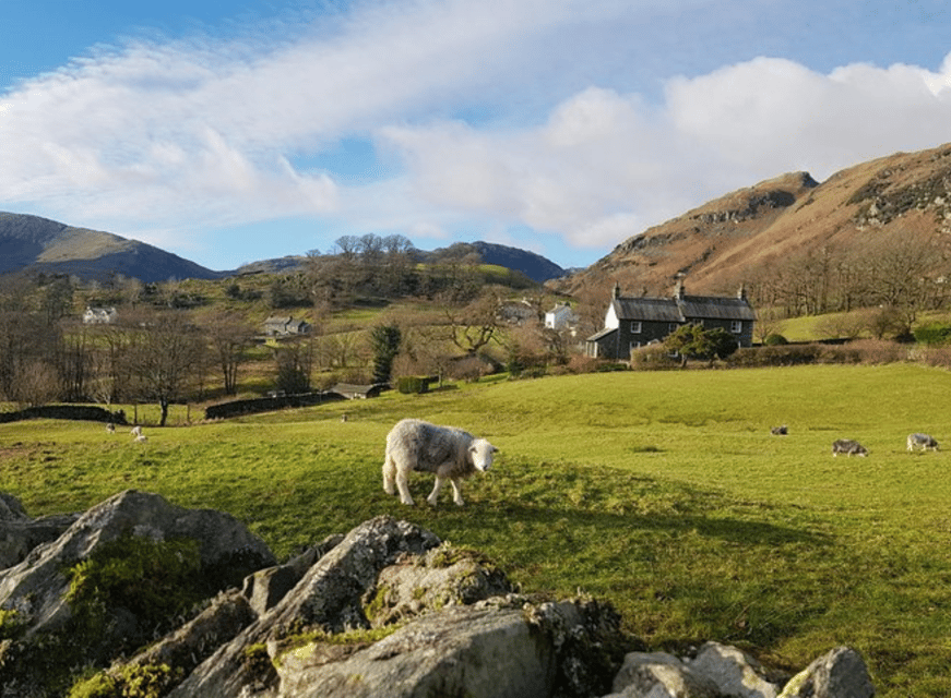 Manchester: Lake District Tour with Lake Cruise & Train Ride - What Travelers Say