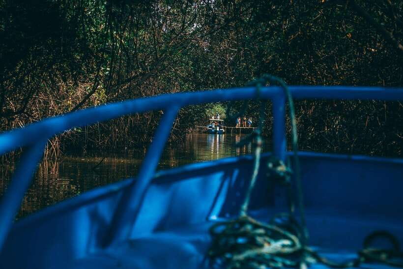 Mancora: Puerto Pizarro - Tour Mangrove Mysteries - In-Depth Breakdown of the Itinerary