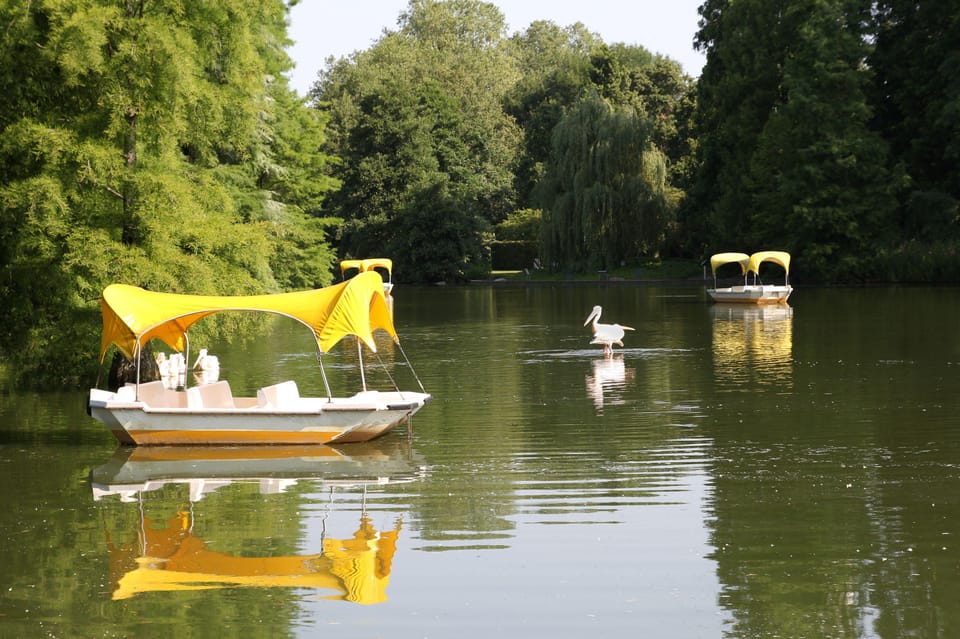 Mannheim, guided park tour: Luisenpark - What to expect from the tour