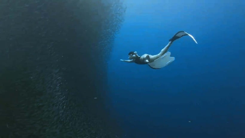 Mantayupan Falls & Moalboal: Snorkeling & Sardine Run Tour - Transitioning to Moalboal