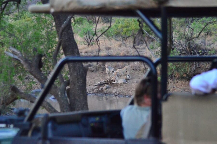 Manyane: 6HGame Drive with Lunch - Price and Value Analysis