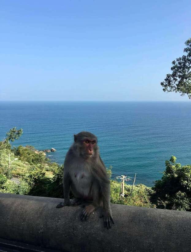 Marble Mountains - Monkey Mountain - Am Phu Cave Sunset Tour - Itinerary Highlights