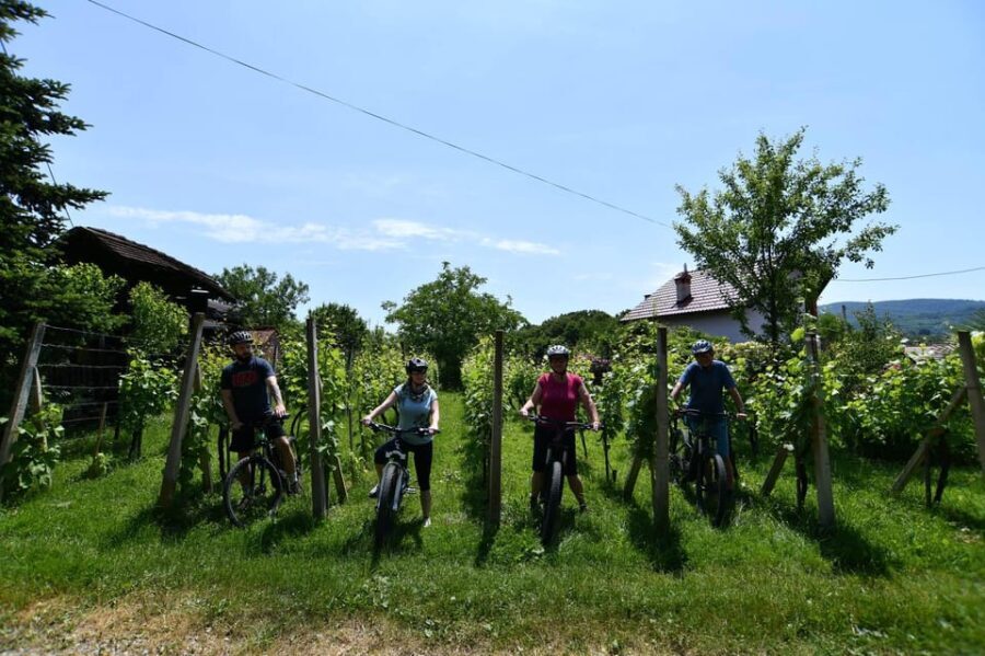 Marija Bistrica: Experience of cycling on country roads - The Experience: Pros and Cons