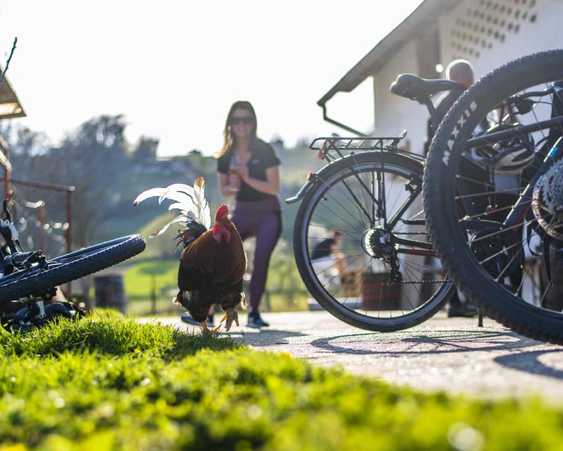 Marija Bistrica: To Gornja Stubica by Bicycle - Exploring the Route and Stops