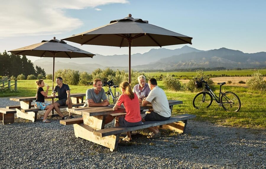 Marlborough: Full-Day Self-Guided Biking Wine Tour - Value for Money: How Does It Stack Up?