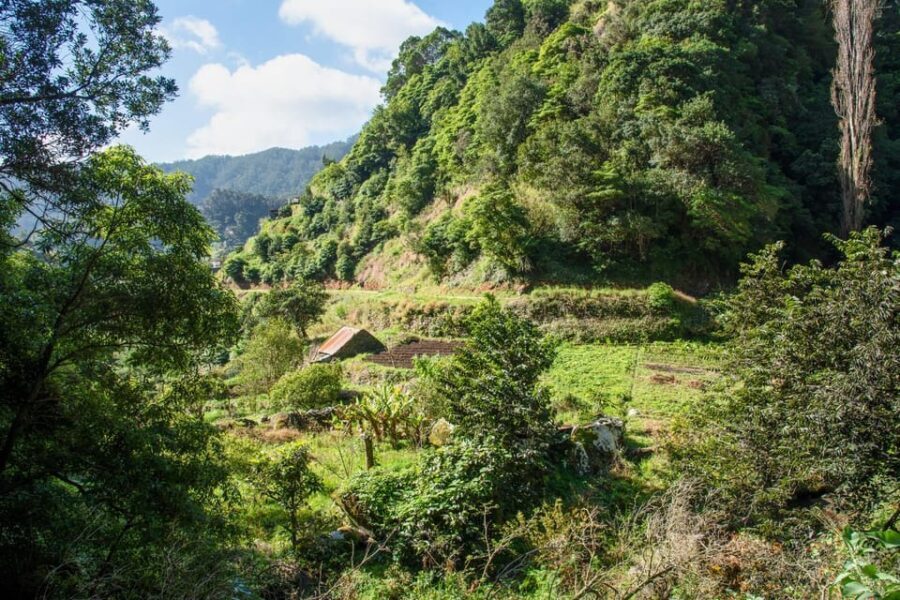 Maroços Madeira Island Levada Walk - The Itinerary: What You’ll Experience