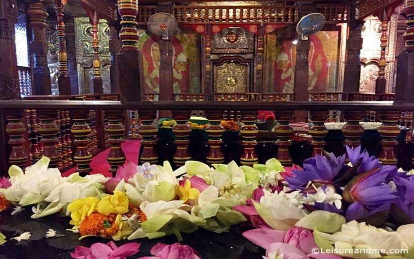 Memorable Tuk Tuk City Tour of Kandy - What to Expect from the Tour
