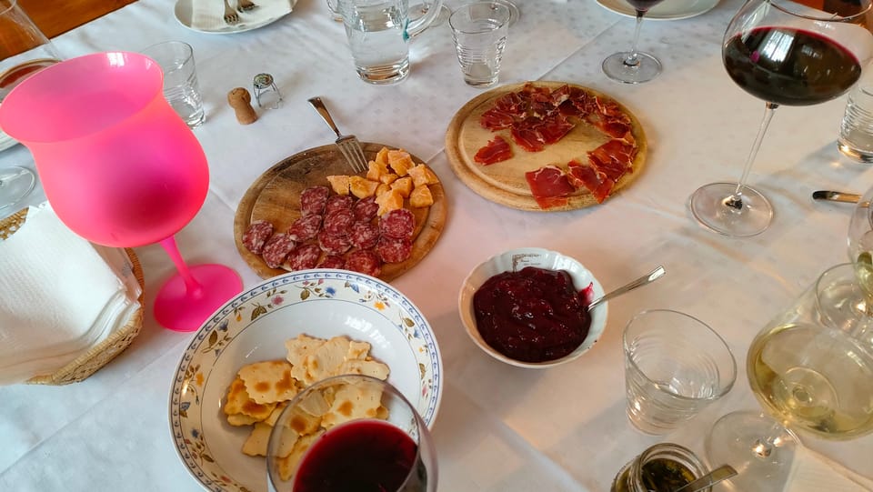 Mezzocorona: Teroldego Vineyard Tour and Wine Tasting - Exploring the Mezzocorona Vineyards