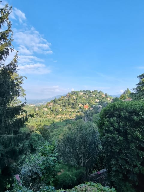 Milan: Bergamo High Town and Wine Tasting Tour - An In-Depth Look at the Tour