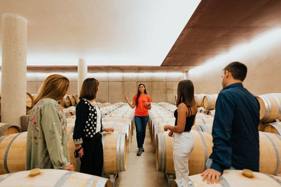 Milan Day Trips: Barolo Wine Tour with a Private Driver - Key Points