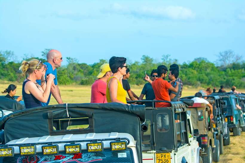 Minneriya half day elephant safari/largest gathering - Key Points