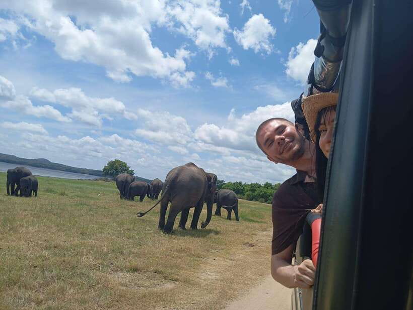 Minneriya: Half-Day Morning or Evening Jeep Safari - The Itinerary Breakdown