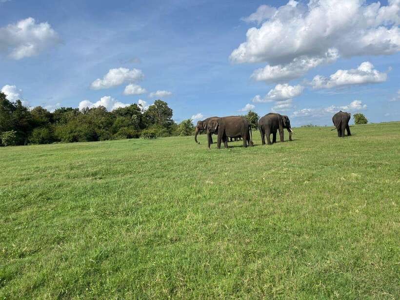 Minneriya National Park : Safari Jeep with Tickets - Who Should Consider This Tour?