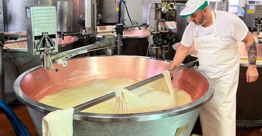 Modena/Bologna: Ferrari, Lambo, Cheese, Vinegar Tour w/Lunch - Final Thoughts: Who Should Consider This Tour?