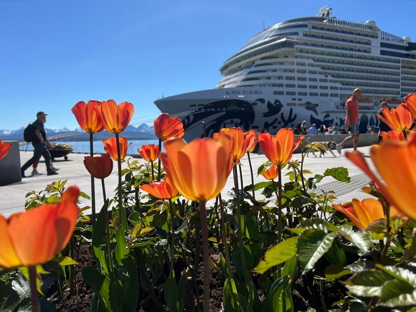 Molde: 2-Hour Guided City Walking Tour - FAQs