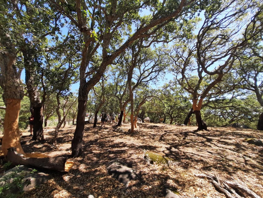 Monchique & Silves: guided day trip - Who Would Enjoy This Tour?