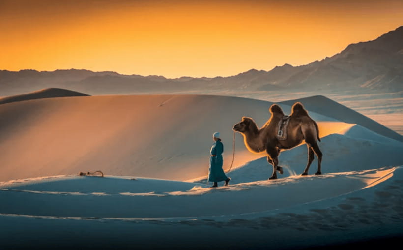 MONGOLIA SOUTH GOBI DESERT: 6 Day Exclusive Private Tour - Why This Tour Offers Good Value