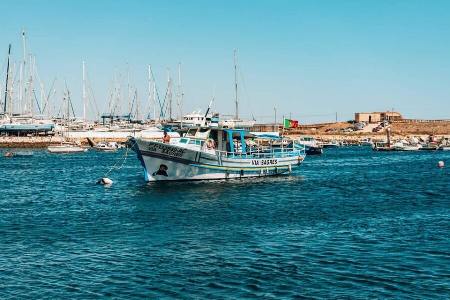 Morning Coastal Cruise - Why This Tour is a Great Choice